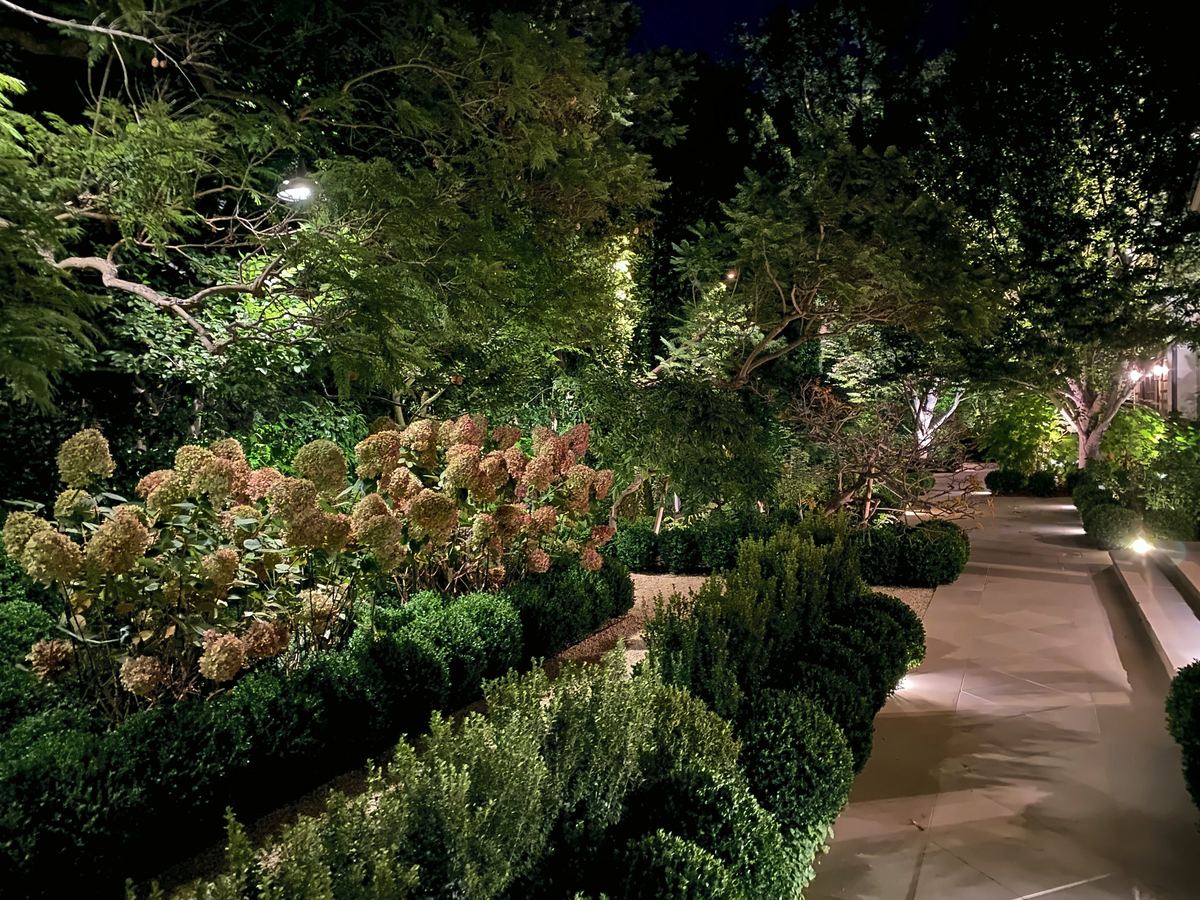 Boxwood and hydrangea garden at night