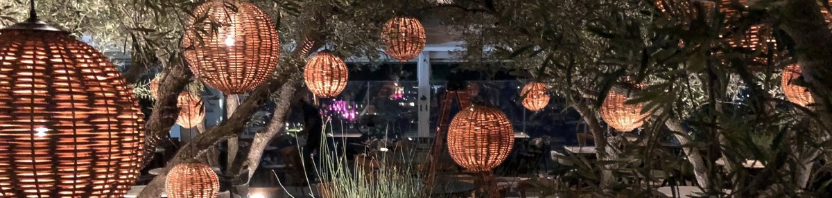 Woven lantern fixtures glowing among olive trees at night