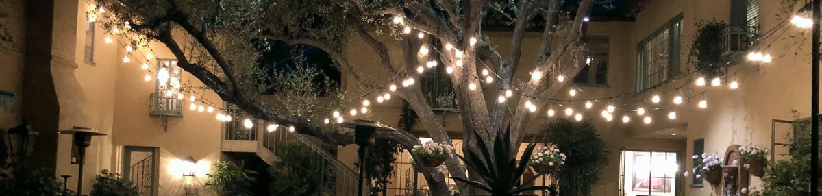 String lights strung through an olive tree over a courtyard for an event