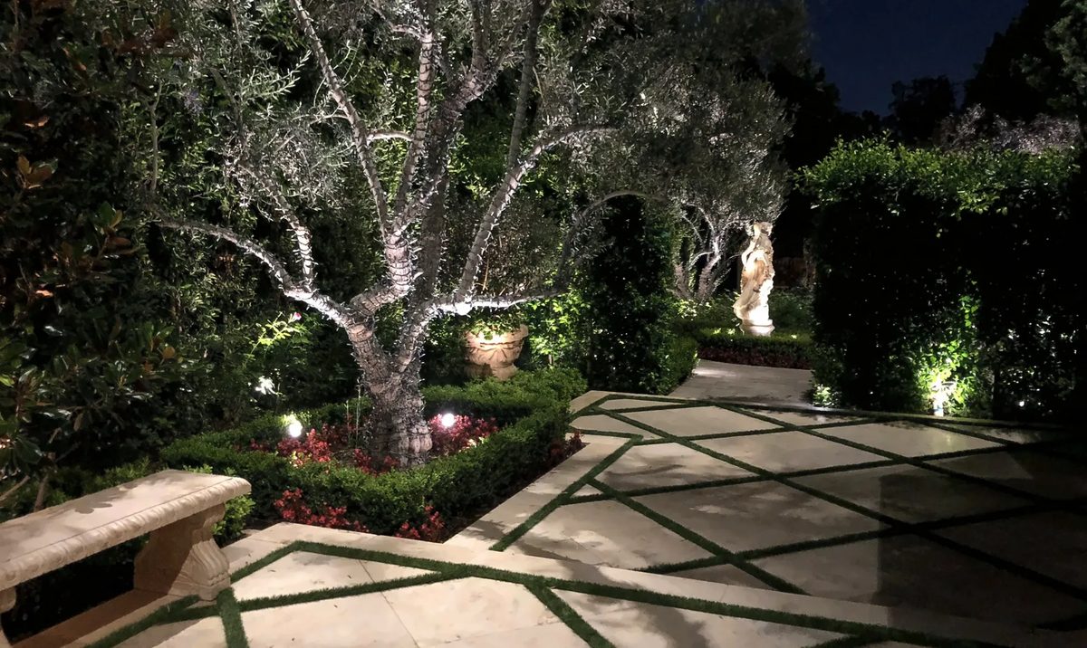 A lit garden at night, with an uplit olive tree and statue