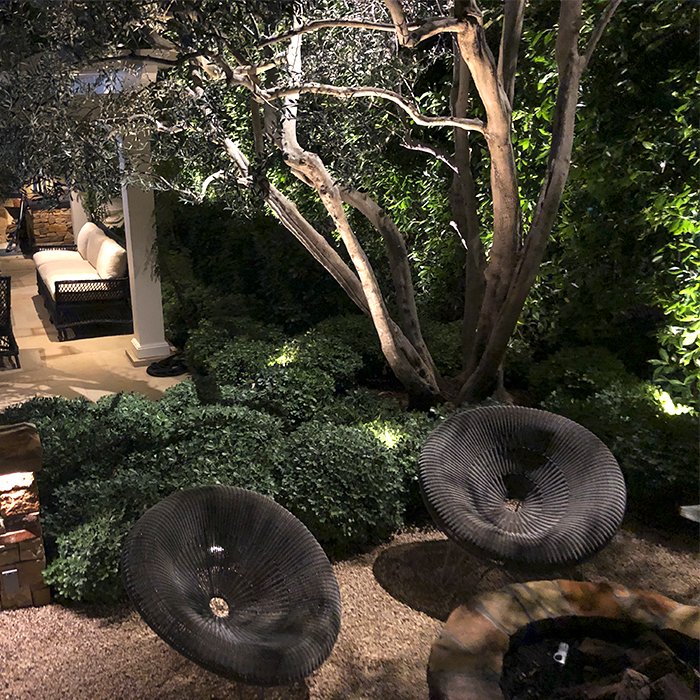 Multi-trunk specimen tree uplit over a quiet garden seating area at night